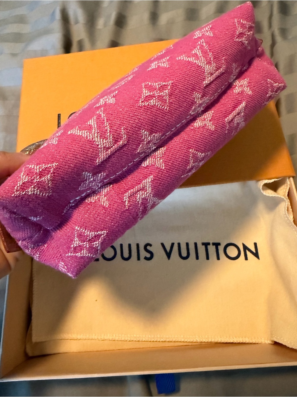 Louis Vuitton denim cosmetic pouch - Picture 9 of 10